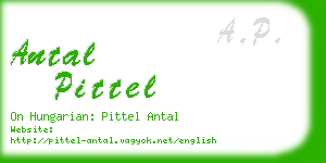 antal pittel business card